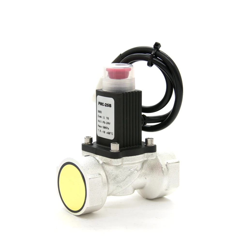 LPG Cooking Natural Gas Safety Regulator