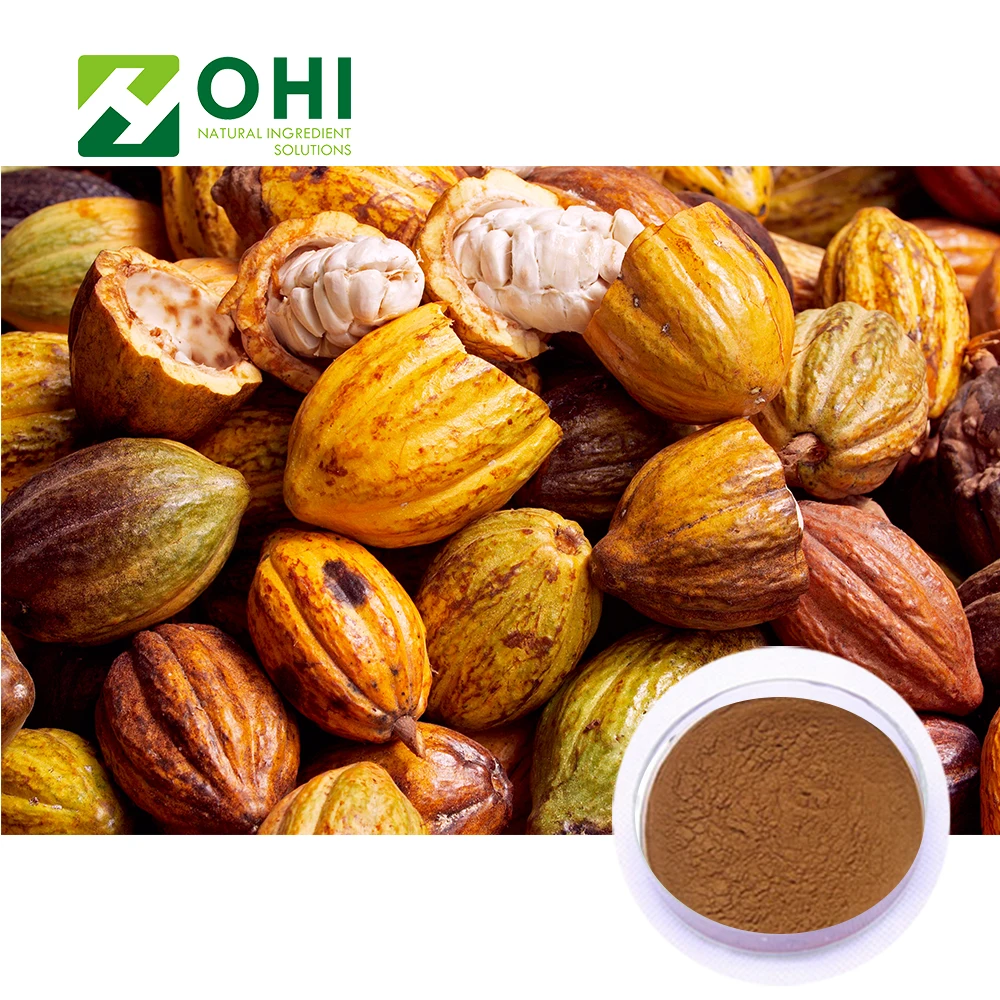 High Quality Cocoa Extract/Raw Organic Cocoa Powder/Black Cocoa Powder