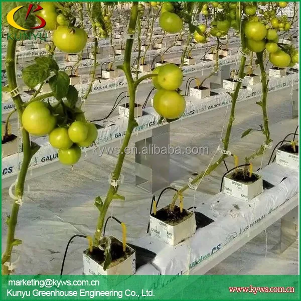 Hydroponic gutter for strawberry tomato pepper hydroponic trough for greenhouse