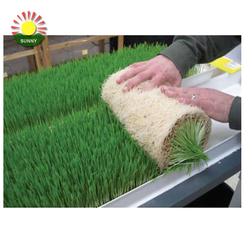 Hot sale healthy fodder system water-saving cattle green fodder growing machine