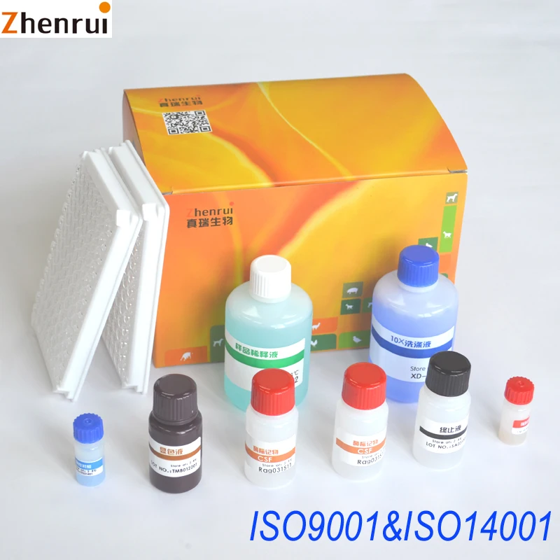 Veterinary equipment Brucellosis antibody ELISA Test Bovine sheep brucella Elisa Kit
