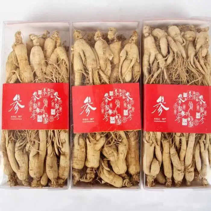 
Free Sample Changbaishan Ginseng Distributors Organic Panax Ginseng 