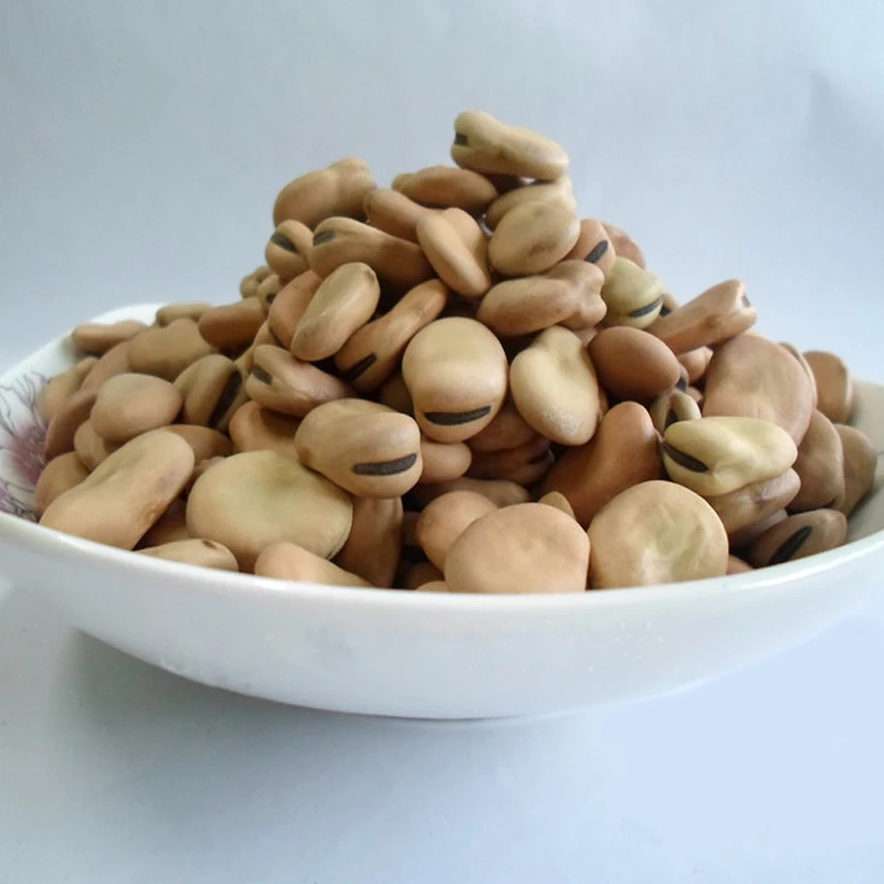 
Bulk dry fava beans 