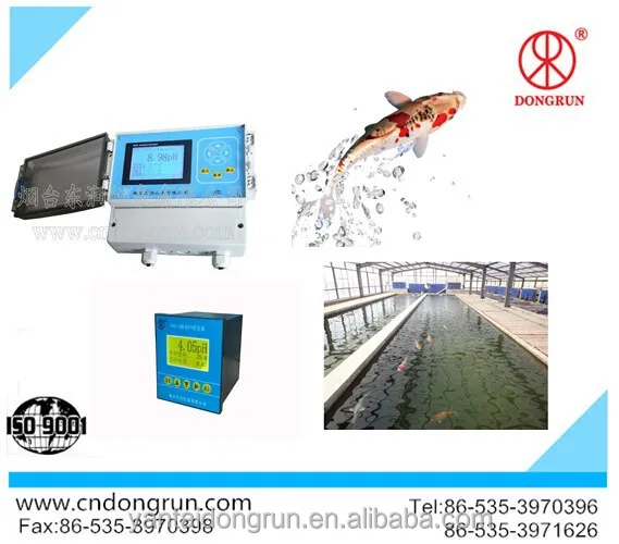 Industrial Intelligent Digital Online Temp. pH ORP Meter with RS485 4~20mA for Water