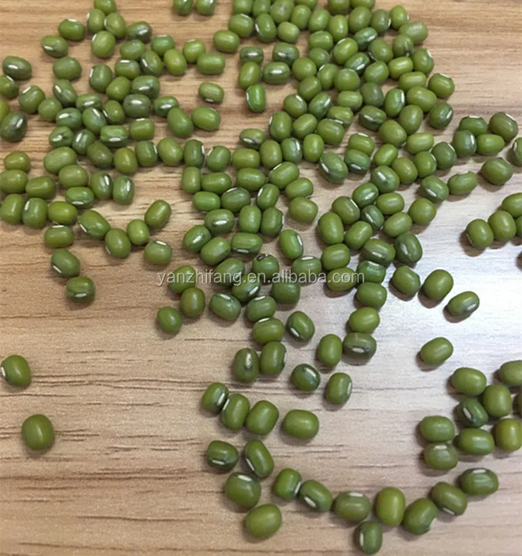 
Hot sale cheap dried green beans green mong beans high quality 