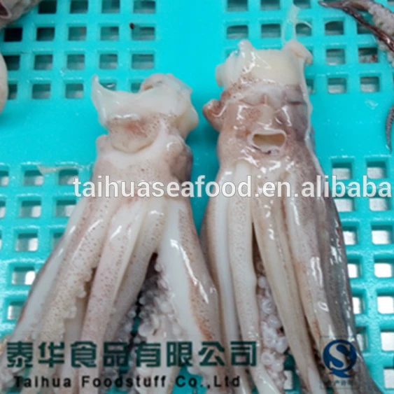 
Frozen BQF cut poulp squid for sale 