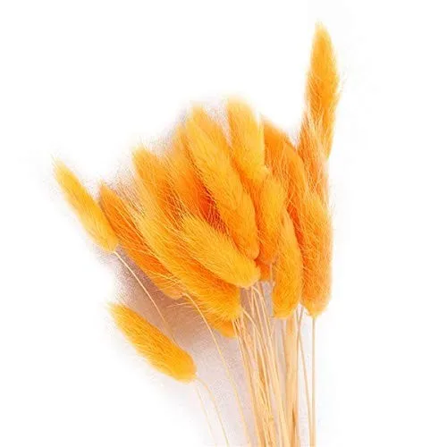Preserved Eternal Forever Flowers Dried Rabbit Tail Grass Dry Lavender Flower Grass For Decoration