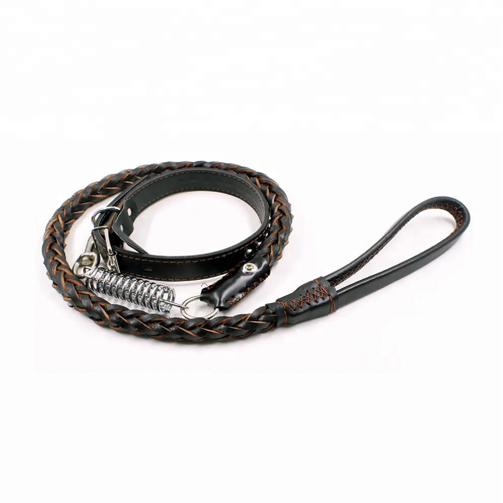Pet Dog Traction Rope Eight-strand Cowhide Spring Belt Outdoor Anti-scourization Guide Leather Dog Collar And Leash