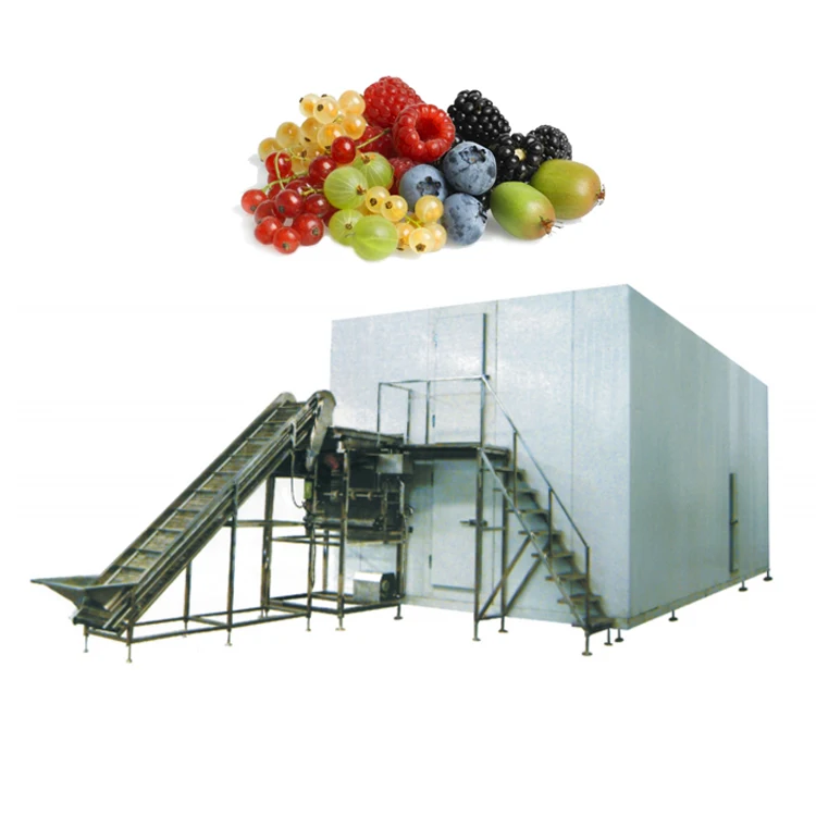 Commercial 	Industrial Freezer IQF Frozen Machine fruit Tunnel Freezer vegetable freezing Machine Price