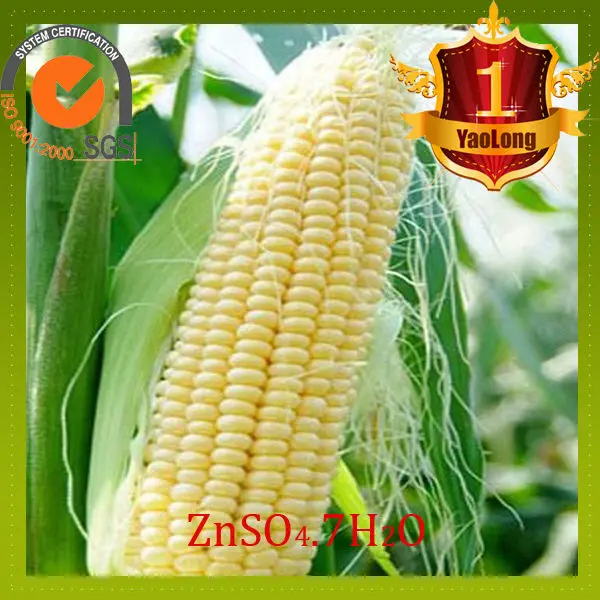 zinc sulphate chemical formula