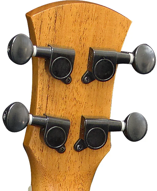 24 inch ukulele concert igh quality rosewood ukulele with EQ pickup S-24REQ6