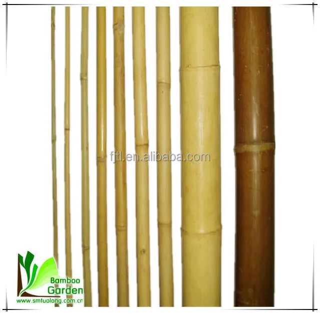 Moso Bamboo Poles/ Bamboo Canes/ Bamboo Sticks for Sale
