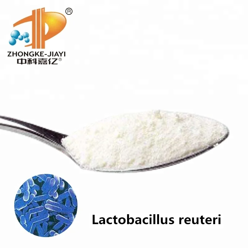 Натуральные пробиотики, иммунная система печени, бифидобактерия миди