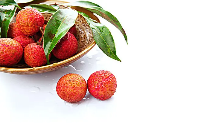 Tropical fruits names all fruits canned lychee in heavy syrup for singapore