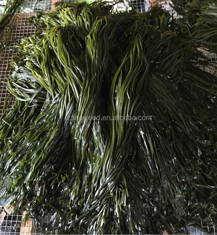 Lower Price Frozen Seaweeds Salted Kelp Silks or Kombu Strips,Laminaria Seaweed Salads