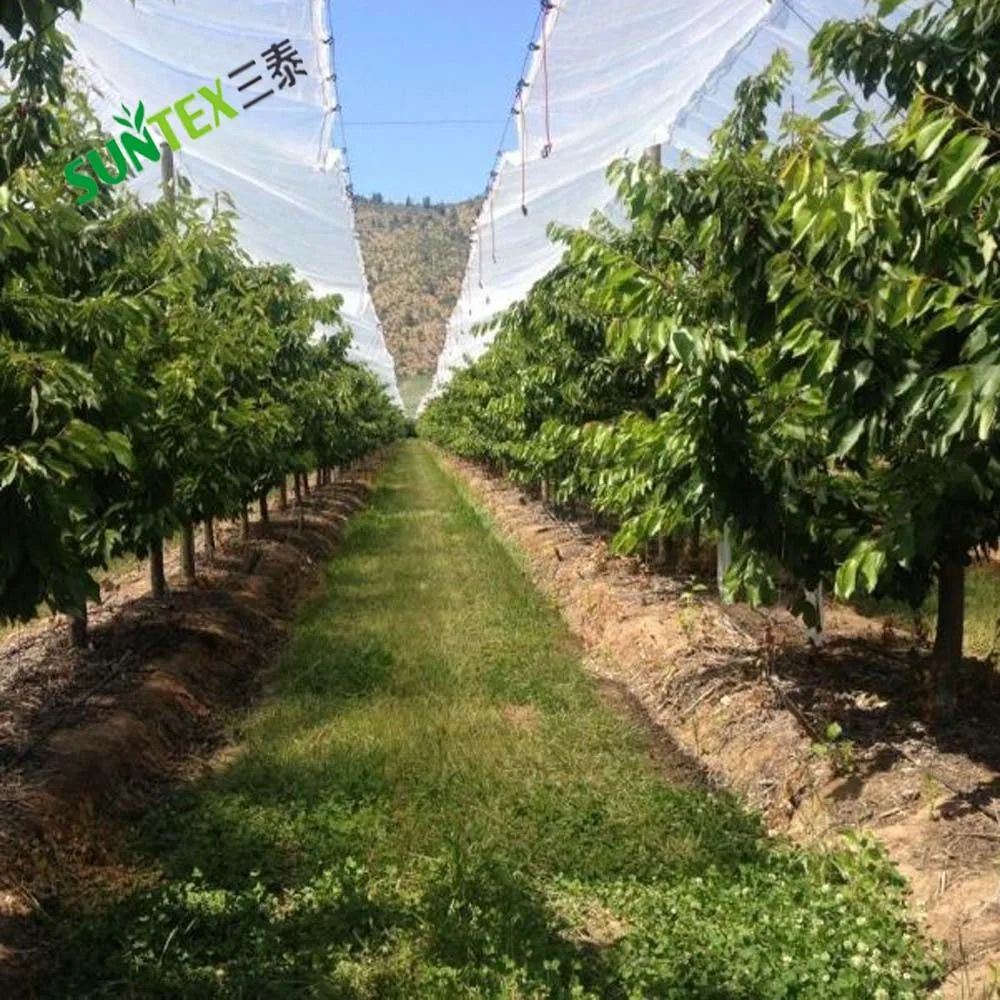 UV Resistant Black Snake Clips, Cherry Cover Hanging C Hooks, Anti Hail Net Bird Connector Clamps