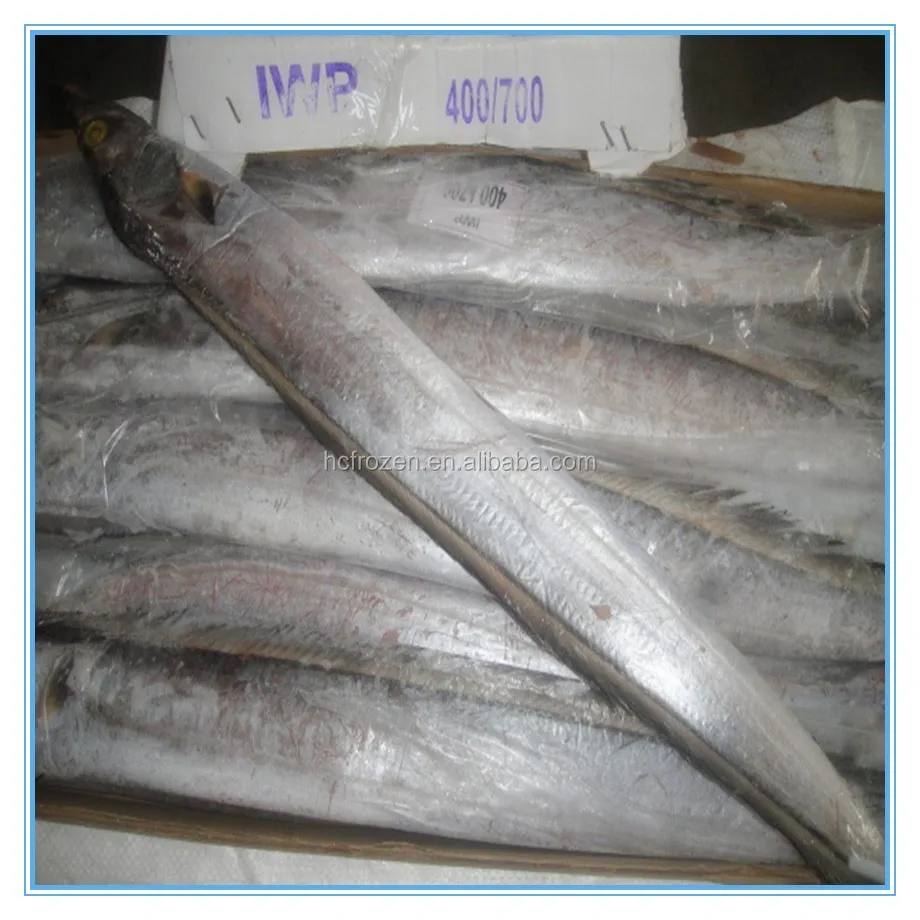 BQF Frozen fresh whole round ribbon fish for sale
