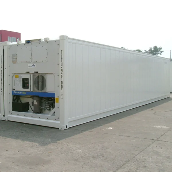 Carrier or Thermoking Used Refrigerated Container