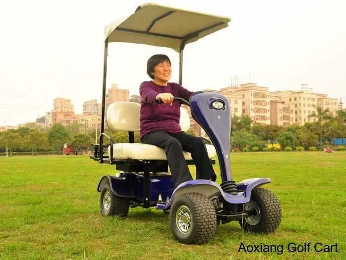 Single seat 24V 800W electric golf buggy for sale