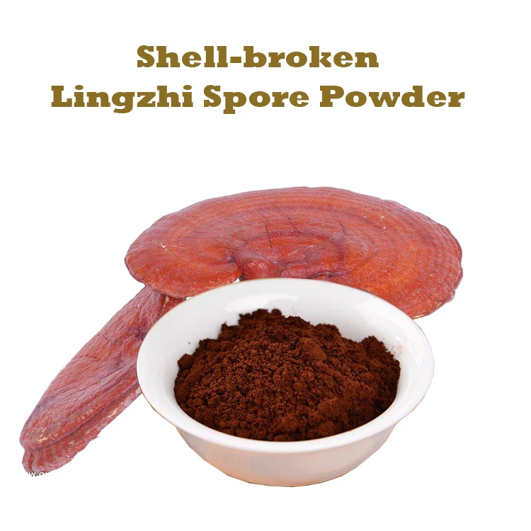 duanwood reishi mushroom extract powder reishi mushroom ganoderma lucidum wholesale reishi mushroom