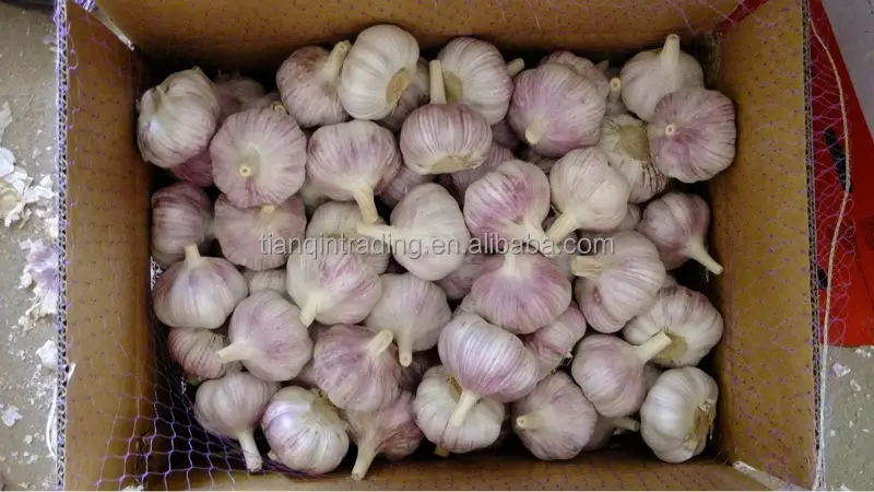 Red Garlic 10kg carton, 10kg/box