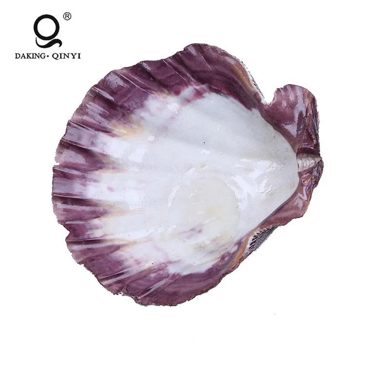 Натуральные перламутровые ракушки для декора в отеле/ресторане/кафе/торговой ярмарке/выставке
