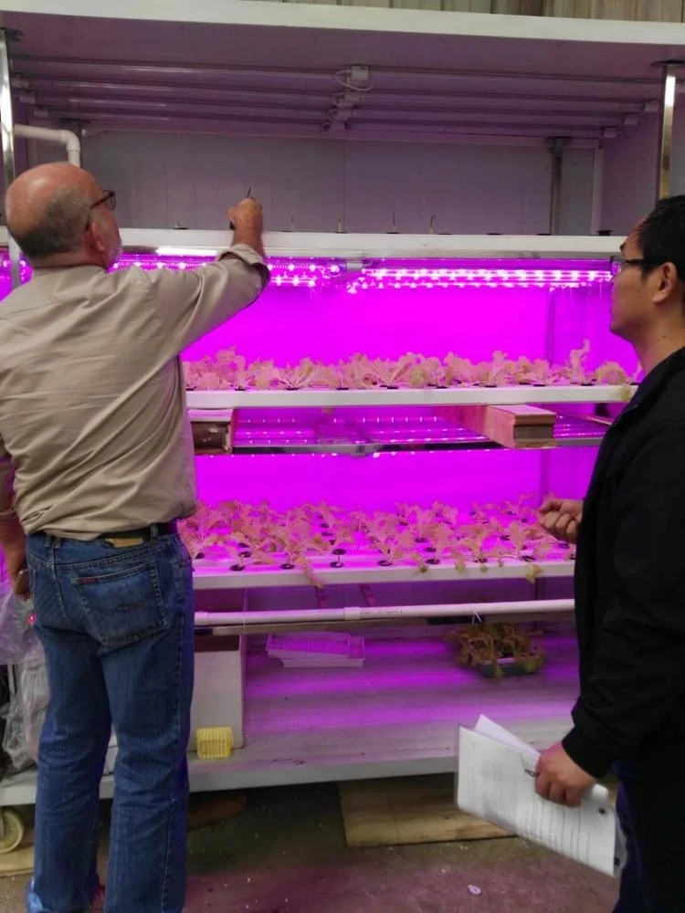 Greenhouse  container  for Hydroponics vegetable System / Hydroponic sprouting Machine