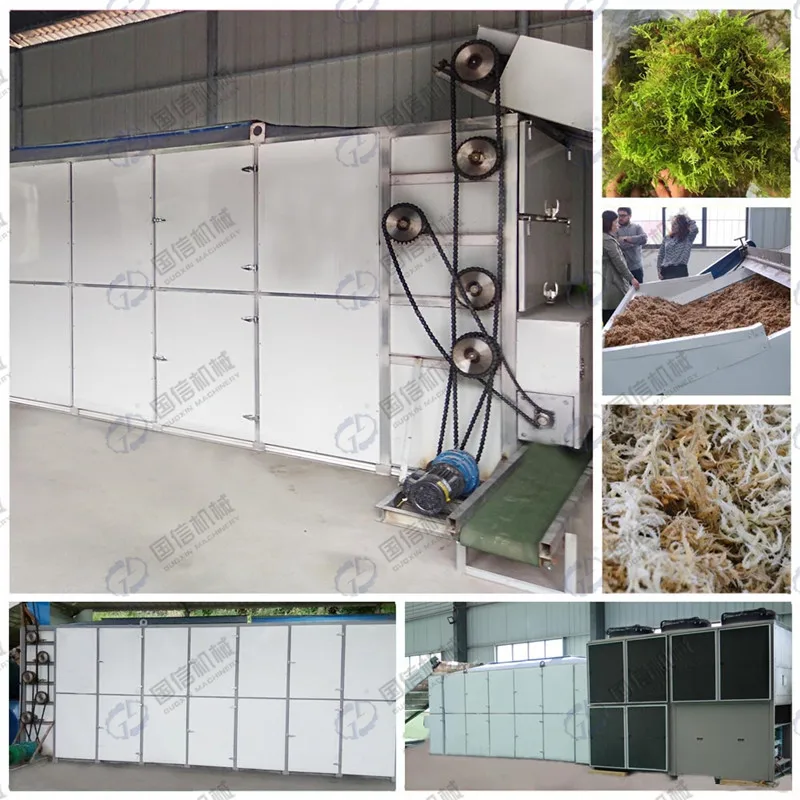 
guoxin safe and reliable operation good quality dried salted fish drying machine 