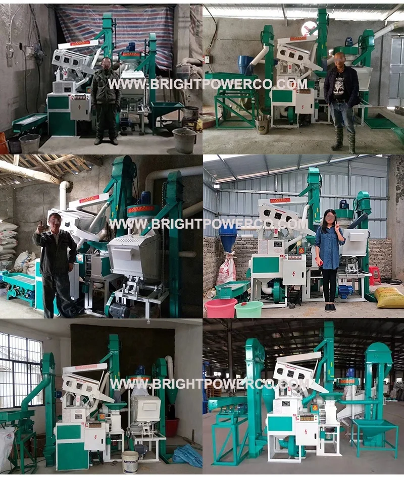 Mini machinery ricemill/rice mills machines
