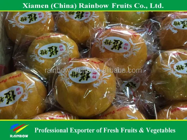 
fresh citrus/fresh mandarin/chinese lokam/honey mandarin 