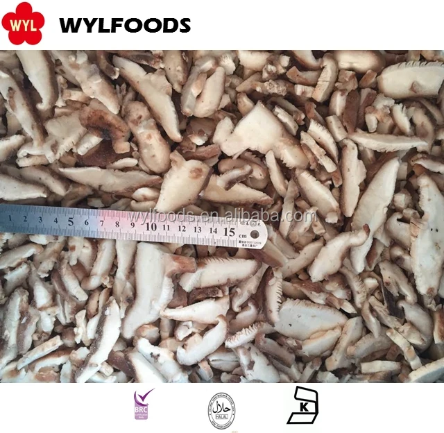 best quality frozen mushrooms iqf frozen shiitake slices cut whole for exporting