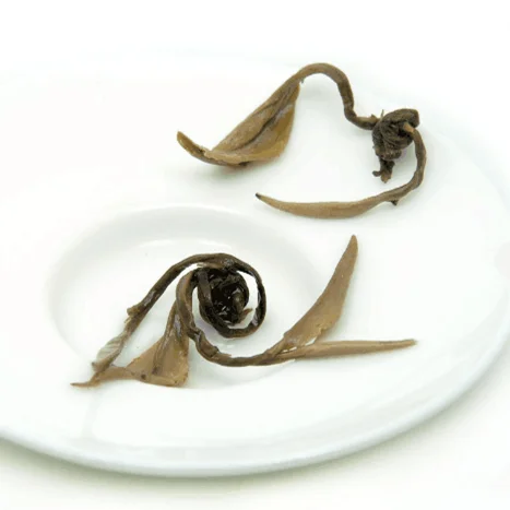 Free sample organic jasmine green tea Jasmine dragon pearl refined Chinese tea gift