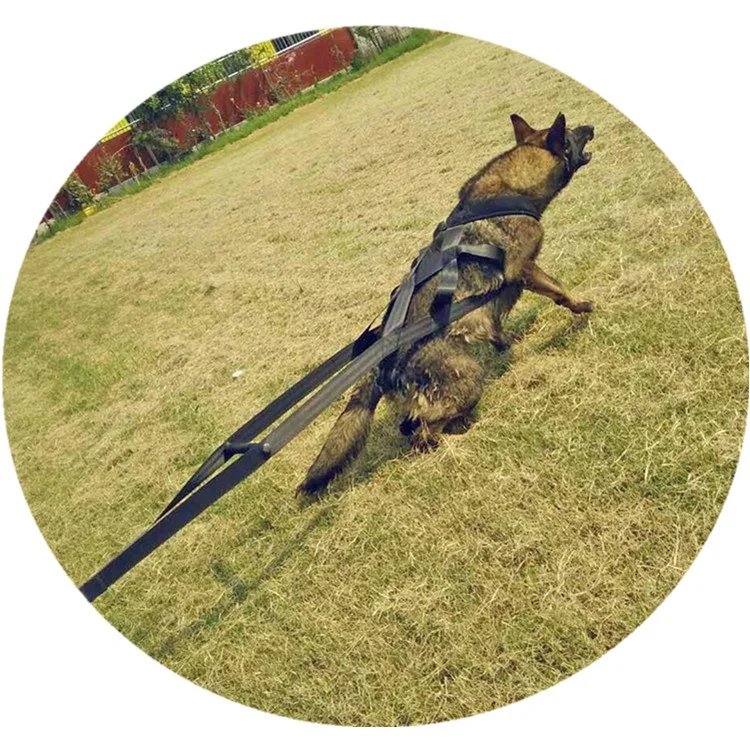 Dog Weight Pulling Training Harnesses for Large Work Dogs Behaviors