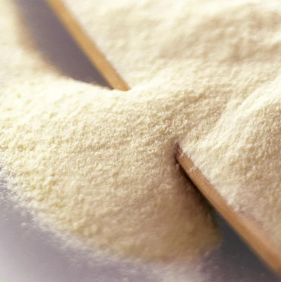 
cheese powder 