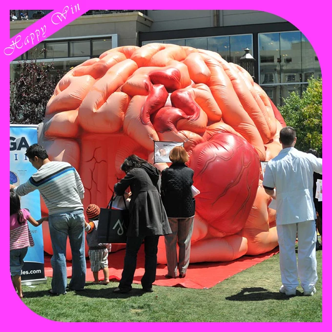 Attractive giant inflatable brain model customized inflatable organ brain model for display