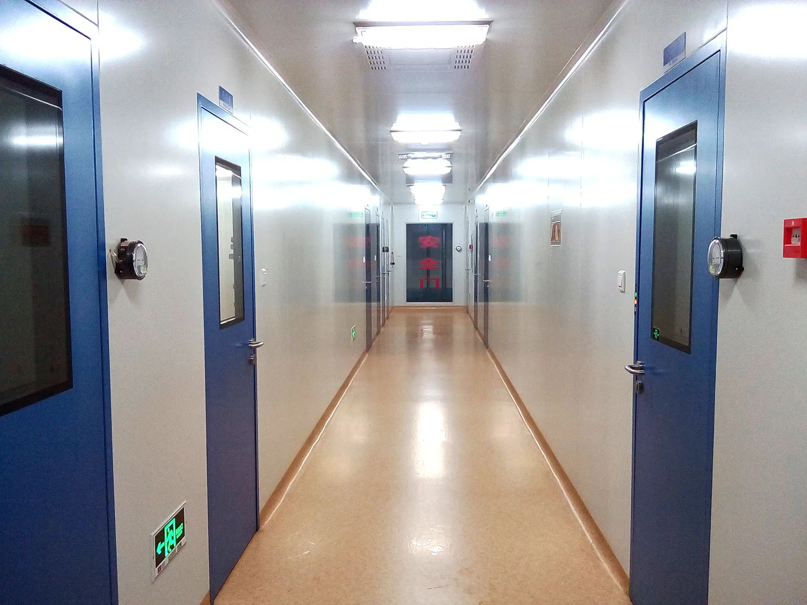 
High Quality Natural Plant Saw Palmetto Extract Powder 