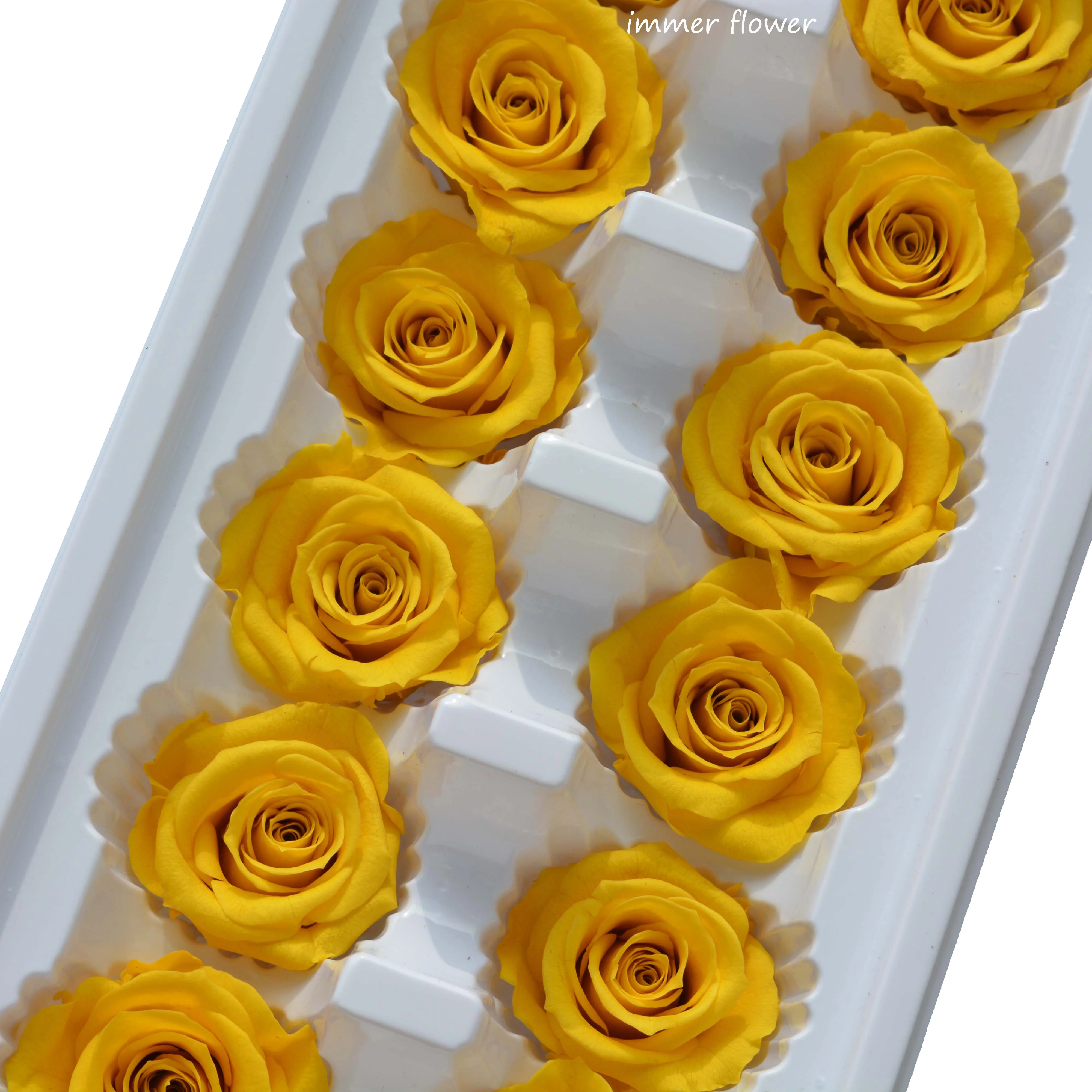 Wholesale Lasting Long Eternal Roses as Rose Petals in Glass