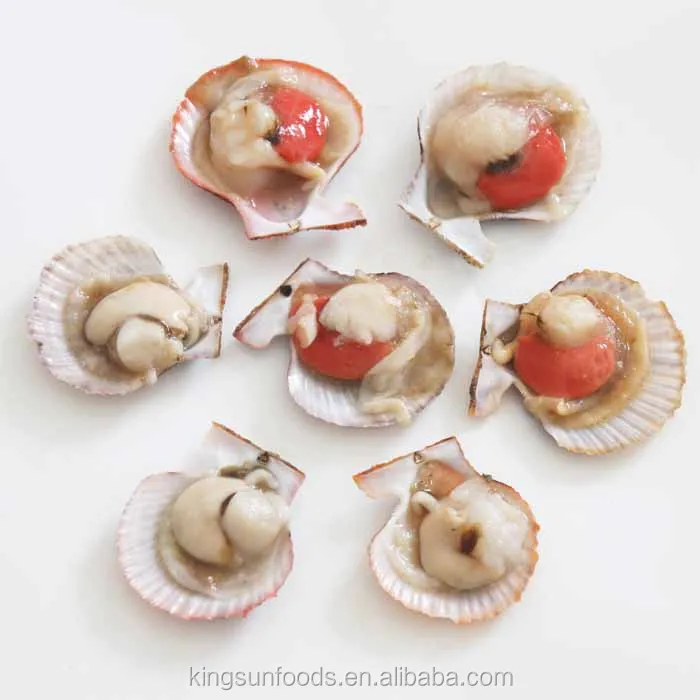 Half Shell Frozen Farreri Scallop