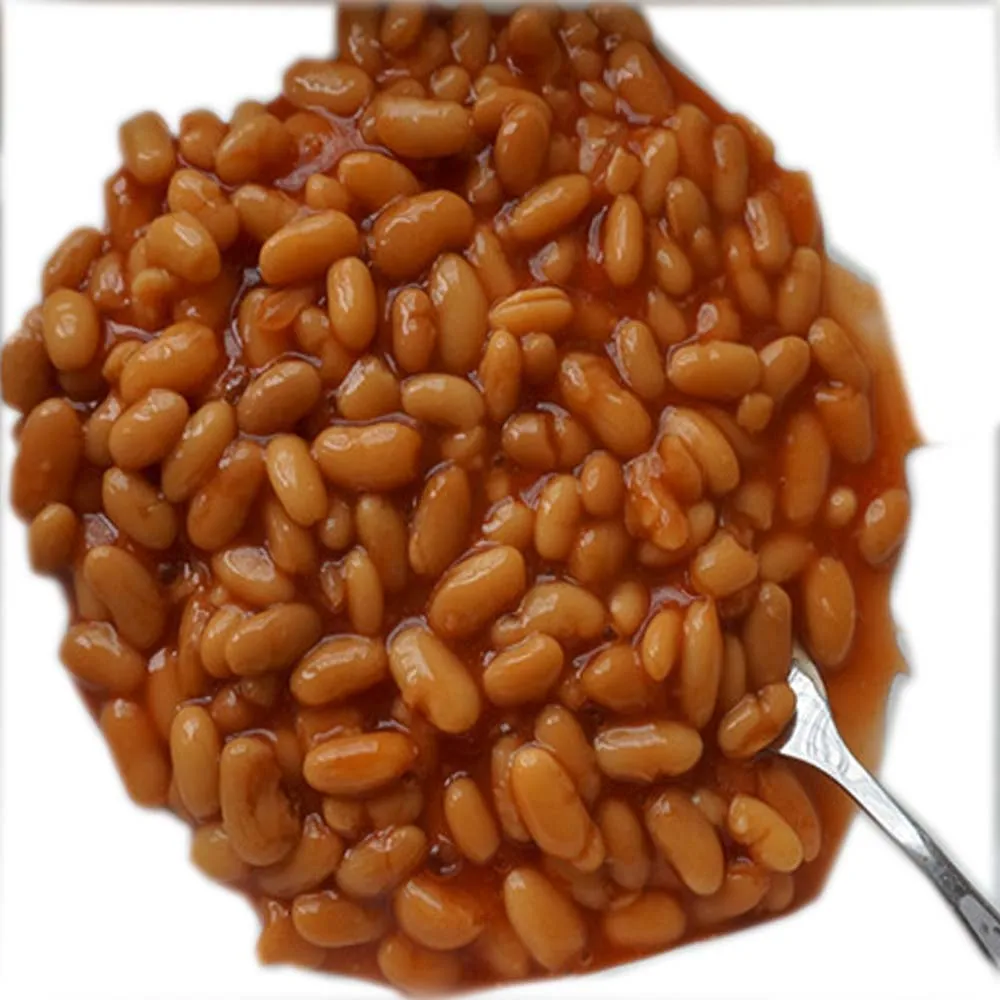 Canned baked brands in tomato sauce  425g