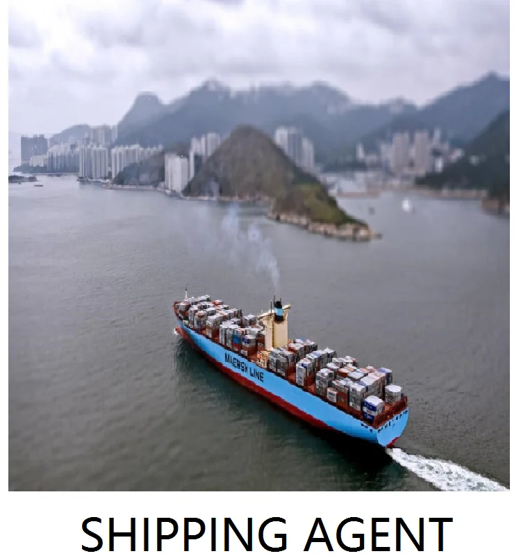 Provide one-stop service from Nansha Port to JOHOR Port in the Malaysia full container 20ft 40ft