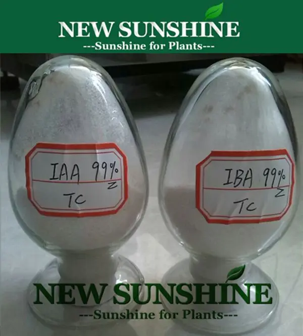 
99% Root Hormone IBA High Quality Indole Butyric Acid Iba agricultural chemical Indole butyric acid IBA 