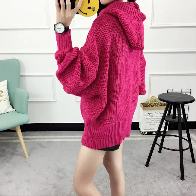 
2019 New arrival autumn winter knitted hooded sweater 