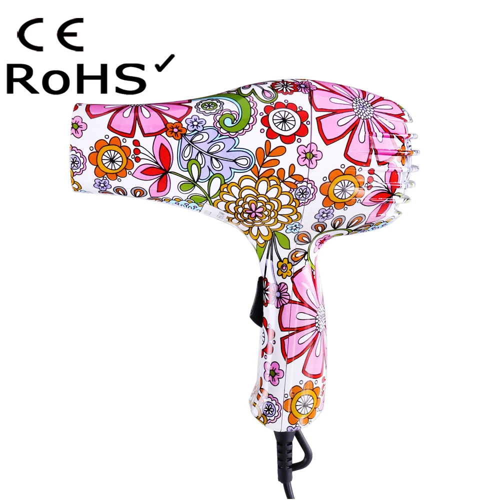 Hot Selling Printing Electric Portable Hair Dryer