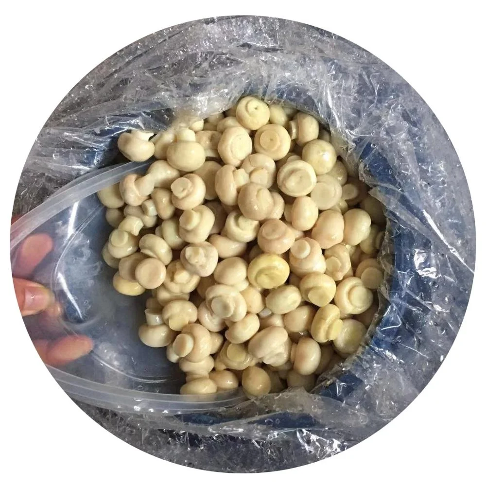 
Italy 2-2.5 cm whole champignon mushroom in vinegar in drums 