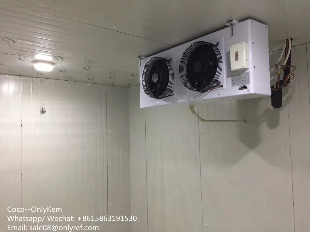 mini cold room/small cold storage/cool room for food