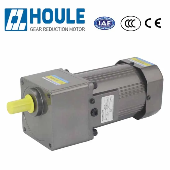 HOULE AC/DC 6W~400W Hot Sale AC Synchronous Gear Motor Micro Reduction Motor Gear Reducer