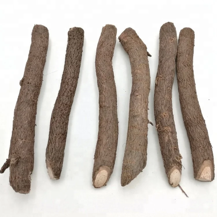 Pao tong zhong gen, холодностойкий Гибридный 9501 семян paulownia shantong, рассады, удлиненные корни для посадки