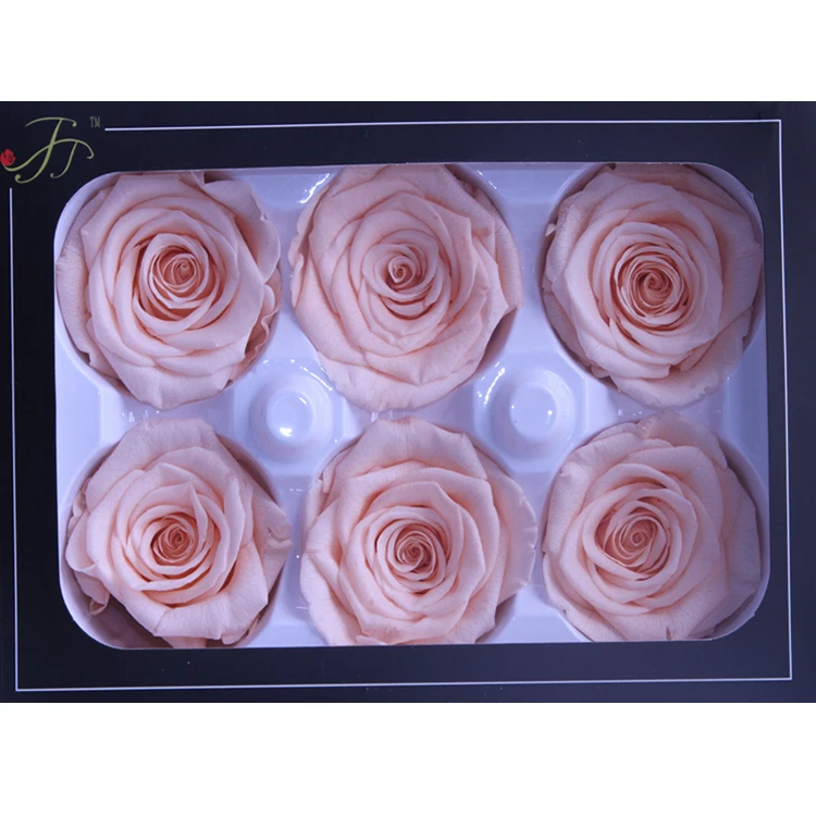 
5-6 cm Preserved flower Roses Head Eternal natural Rose Flower head for Wedding decoration 