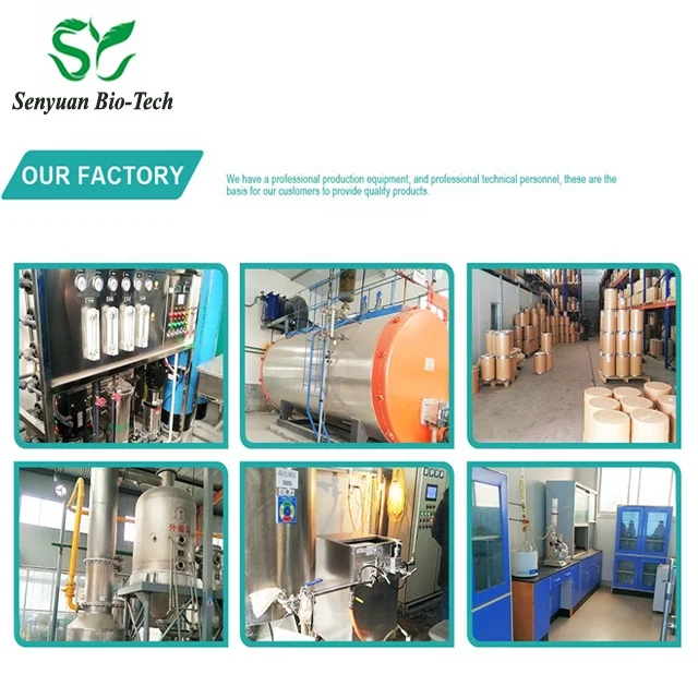 
100% pure natural 10:1 spinach powder spinach extract powder 