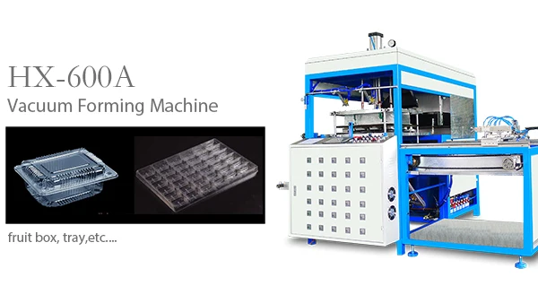 Thermoforming tray thermoformed plastic seeding tray thermo vacuum forming machine with factory price
